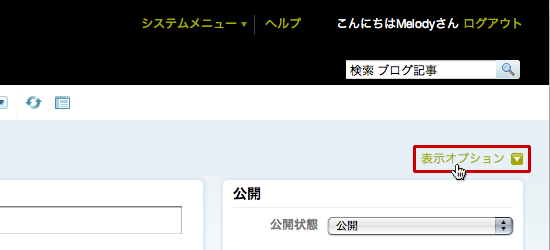 [記事作成] 表示オプション