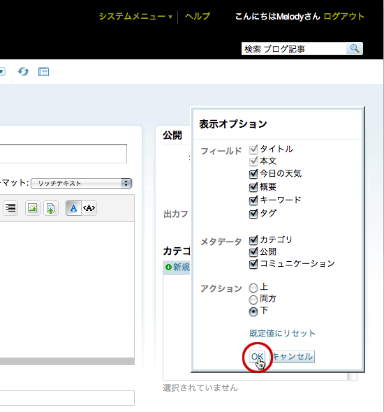 [記事作成] [表示オプション] 変更を保存